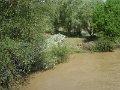 Povodne 203-2010   106